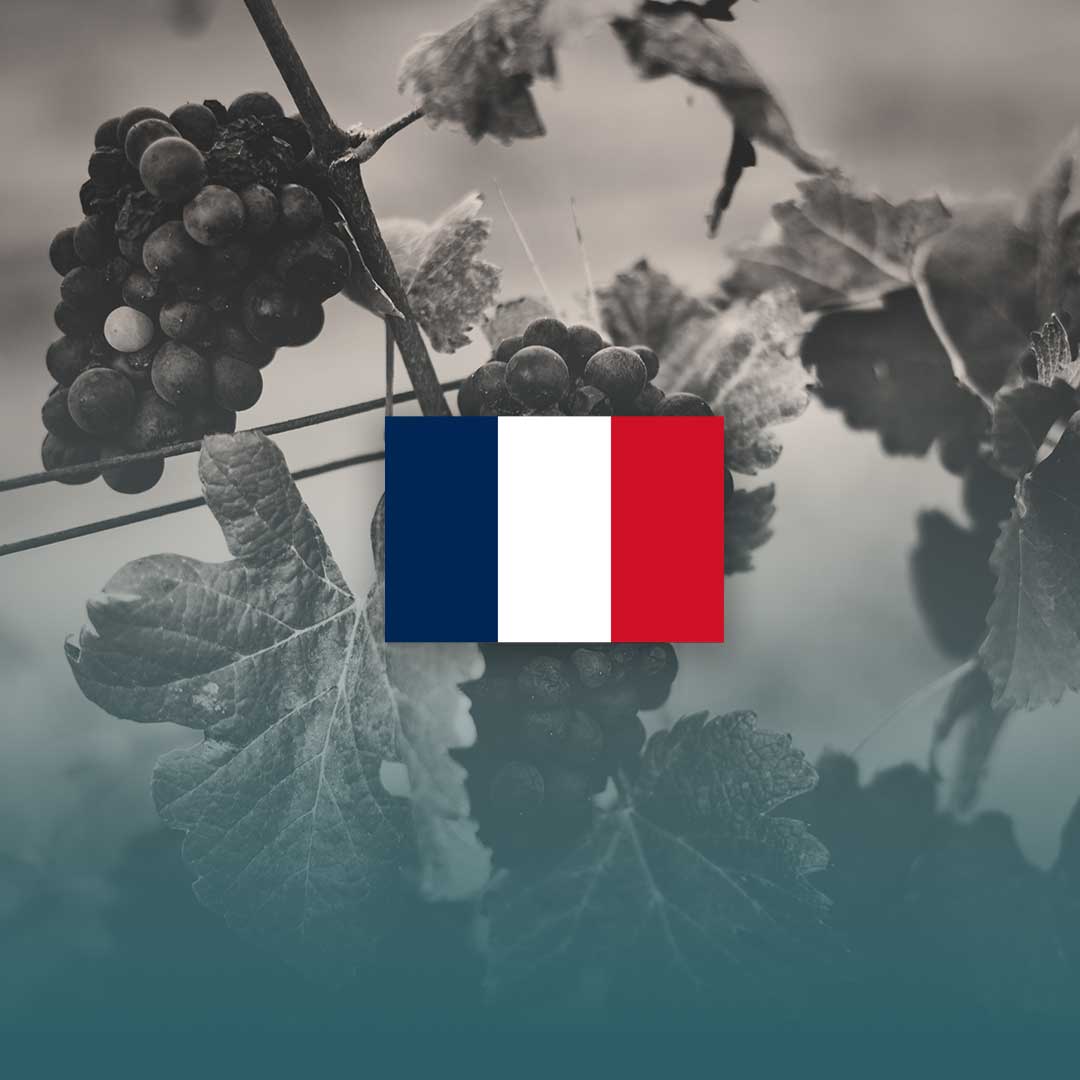 Corso sulla Francia del Vino - I Giganti di Champagne, Borgogna e Bordeaux