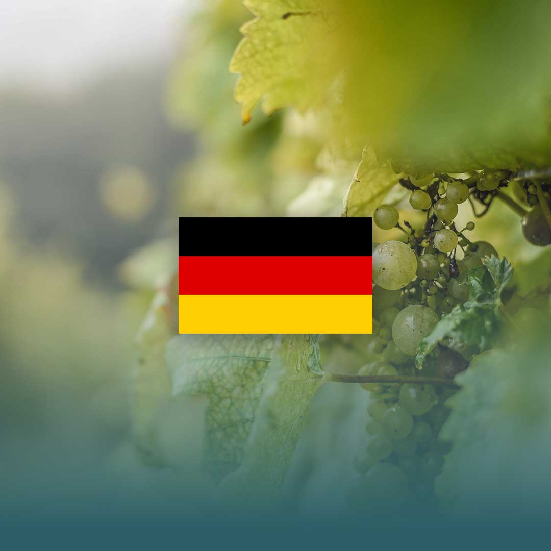 Corso sulla Germania del Vino - L'Eleganza di Mosella, Baden e Pfalz