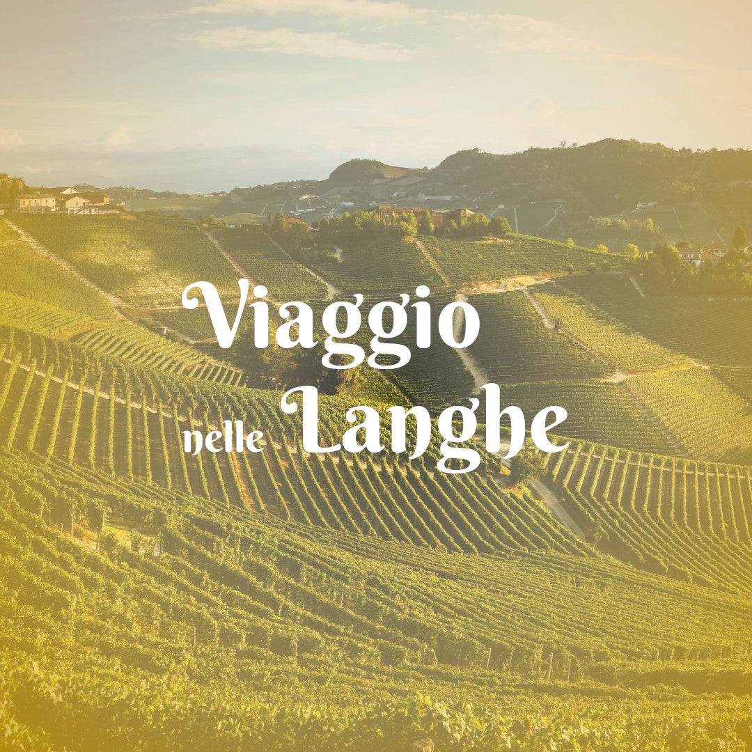 Viaggio nelle Langhe: L’Anima del Piemonte in tre giorni