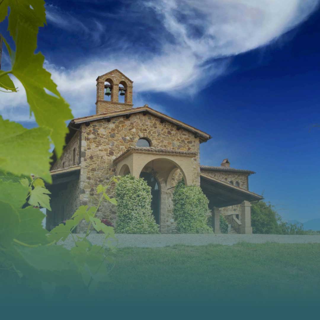 Incontro con il Produttore: Decugnano dei Barbi - Degustazione Verticale A.D. 1212