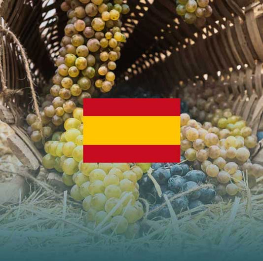 Corso sulla Spagna del Vino - Viaggio tra Cava, Rioja e i Grandi Rossi Iberici