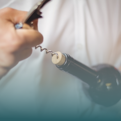 Corso Degustazione Vino per Principianti a Roma