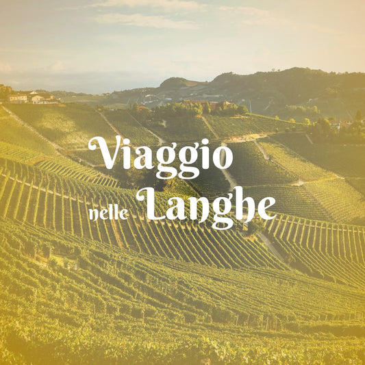 Viaggio nelle Langhe: L’Anima del Piemonte in tre giorni