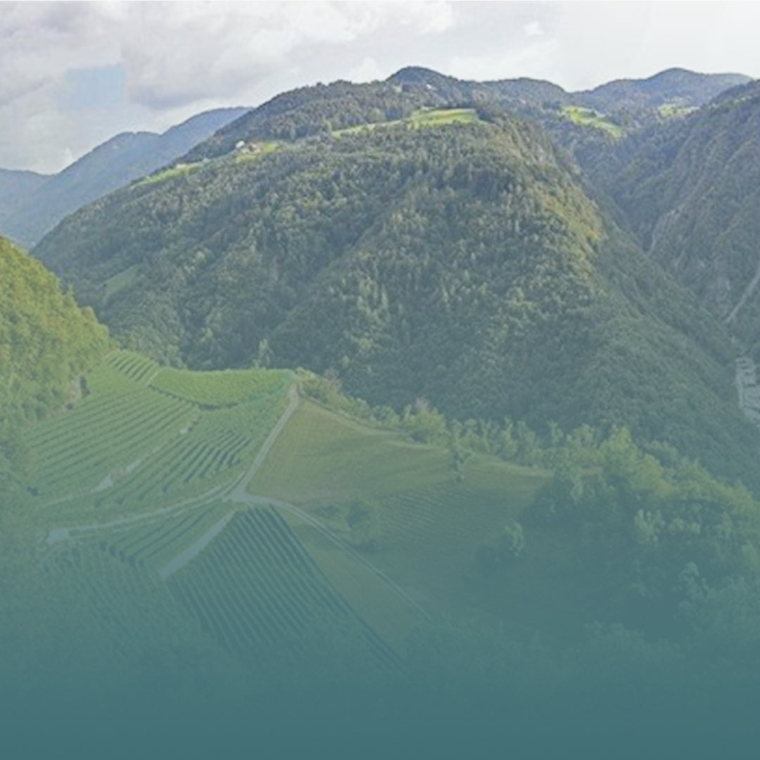 Degustazione Vini di Montagna
