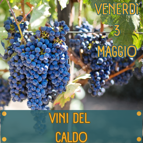 DEGUSTAZIONE VINI DEL CALDO ROMA
