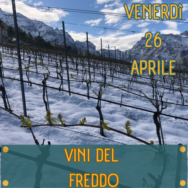 Degustazione Vini del Freddo