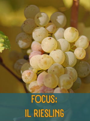 Degustazione riesling roma monteverde